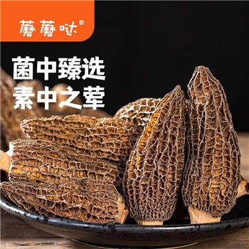 蘑蘑哒羊肚菌干货特级野生菌菇类羊肚菇云南特产野生新鲜羊肚菇类