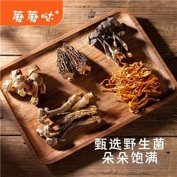 蘑蘑哒五福菌汤包煲汤炖鸡神器甄选羊肚菌黑鸡枞姬松茸鹿茸菇等