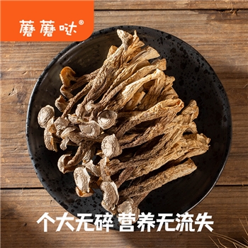 蘑蘑哒鹿茸菇鹿茸菌干货 云南特产营养菌菇蘑菇干香菇类菌类
