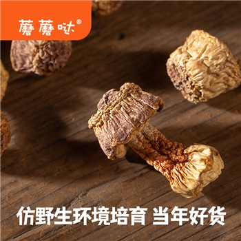 蘑蘑哒好货姬松茸干货 当季鲜货人工甄选 无熏硫无添加