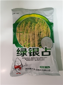 绿银占（2斤一包）