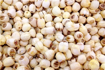 华银生态园手工湘莲