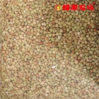 精选荞麦米  400G