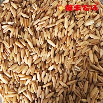 燕麦米  1KG