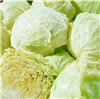 包菜  1KG