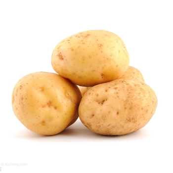 土豆  1KG