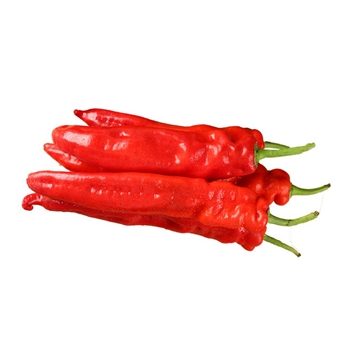 大红椒   1KG