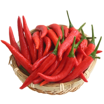 小红椒  1KG