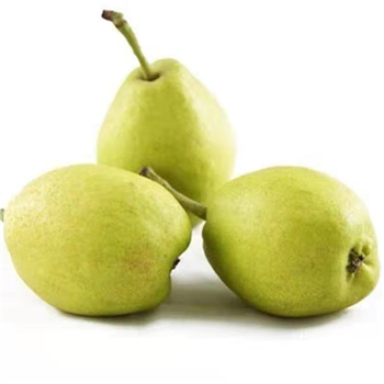 一级皇冠梨  1KG
