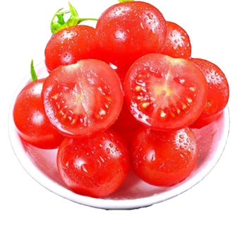 千禧圣女果  1KG