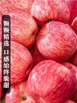 阿克苏苹果75#  4斤